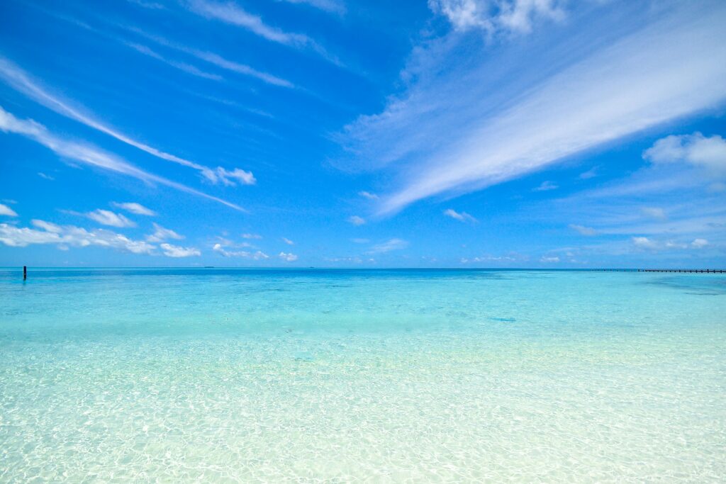 海
